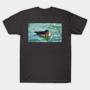 A Wood Duck Swimming At My Local Pond T-Shirt